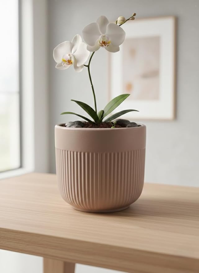 Ceramic Minimalist Pot