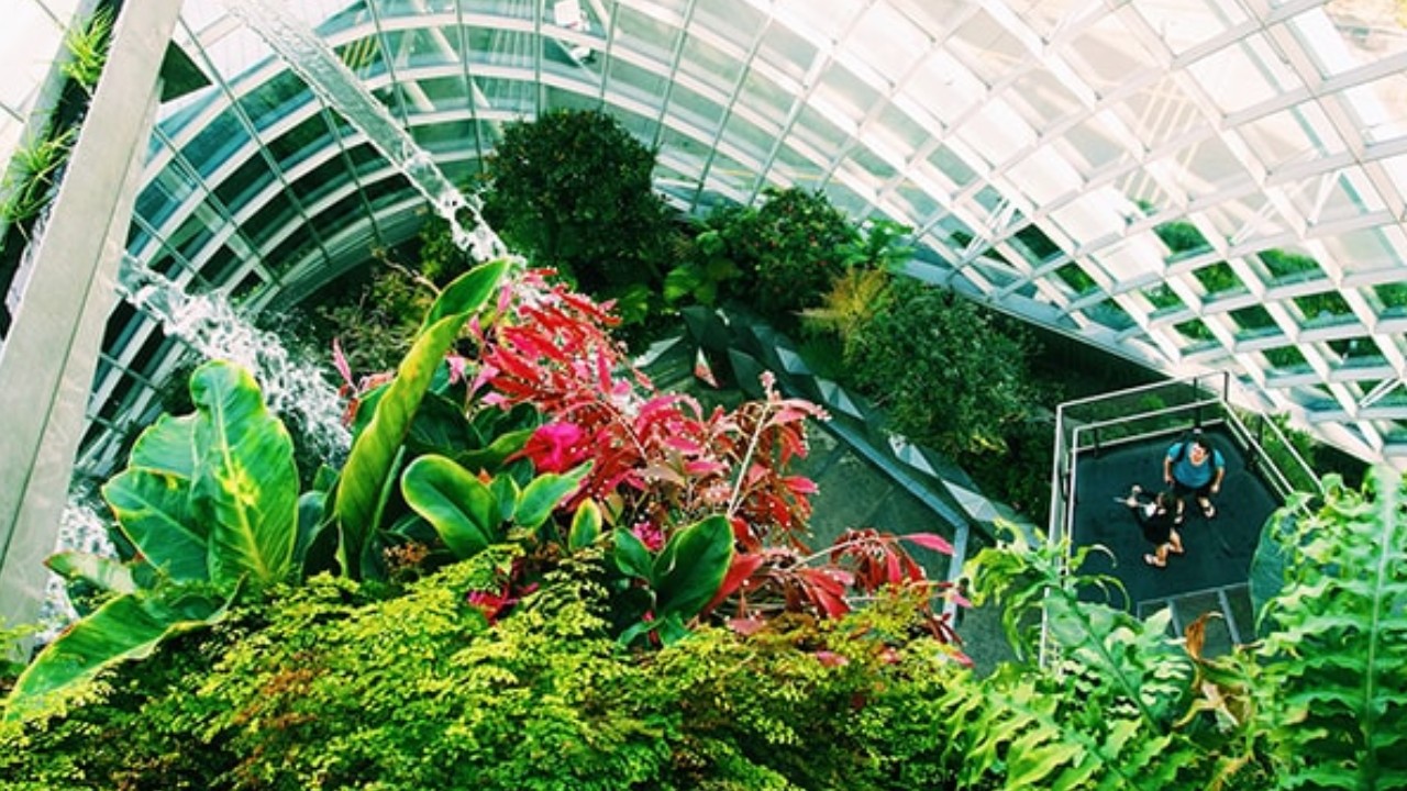 How to Create a Beautiful Home Garden with Nursery Plants